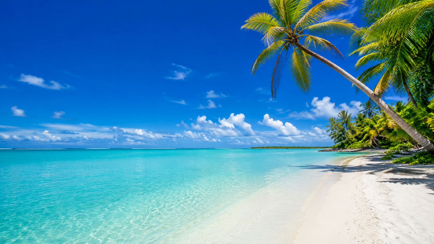 Playa desierta tropical.
